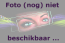 Uitvergroten
